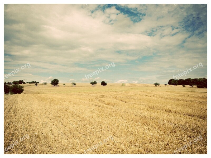 Landscape Trees Fields Straw Sky