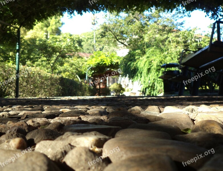 Stones Garden Vegetation Oriental Bank