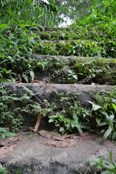 Old Steps Rock Steps Woods Shrubs Rocks