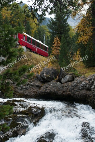 Graubünden Rhb Autumn Forest Bach