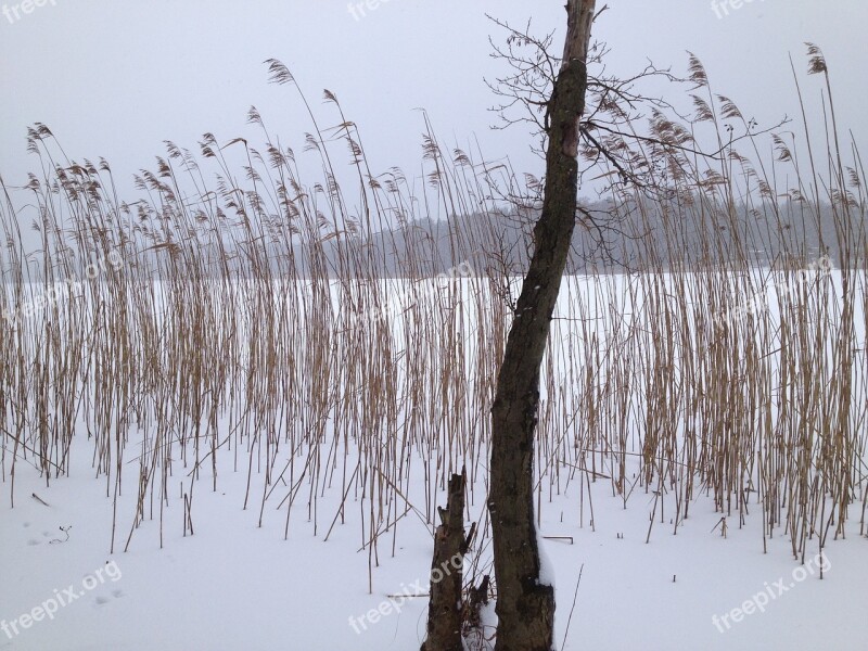 Lake Winter Ice Snow Landscape