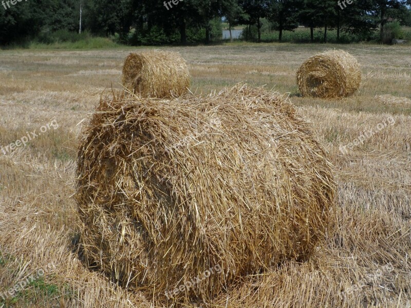 Straw Field Landscape Bale Harvest