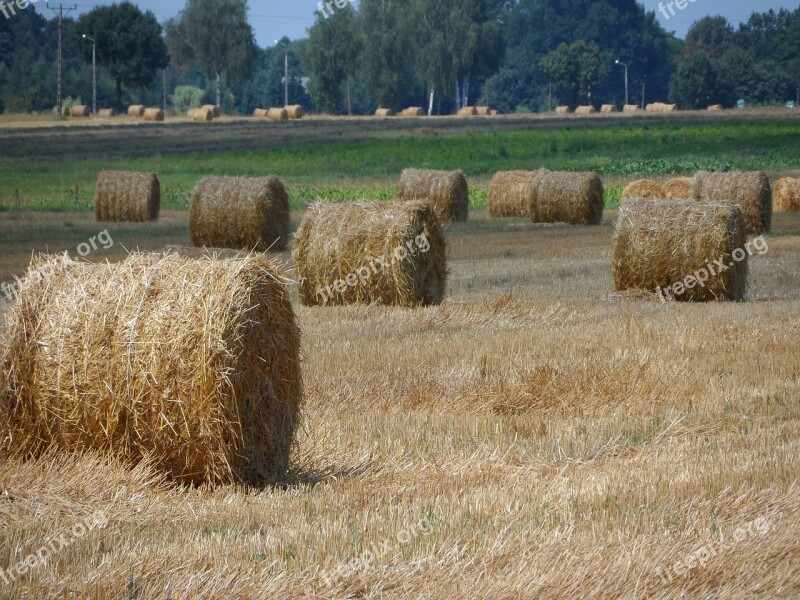 Straw Bale Field Free Photos