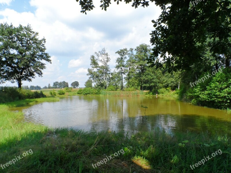 Pond Water Free Photos