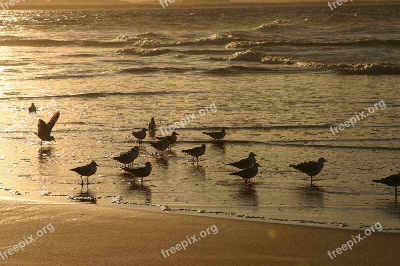 Sunset Beach Surf Water Sea Surf