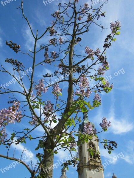 Tree Spring Church Sky Clouds