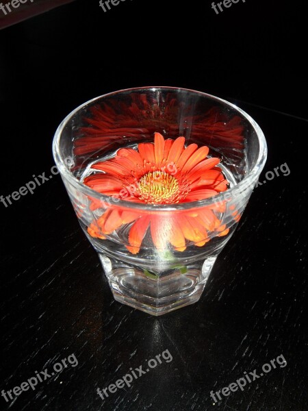 Flower Orange Orange Flower Glass Decoration