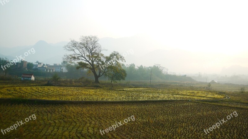 The Wilderness Big Trees Farmland Free Photos