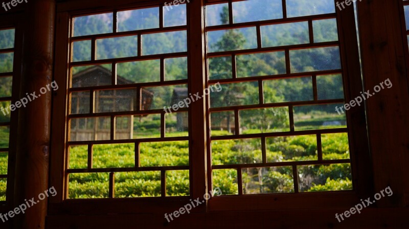 Tea House Window Green Free Photos