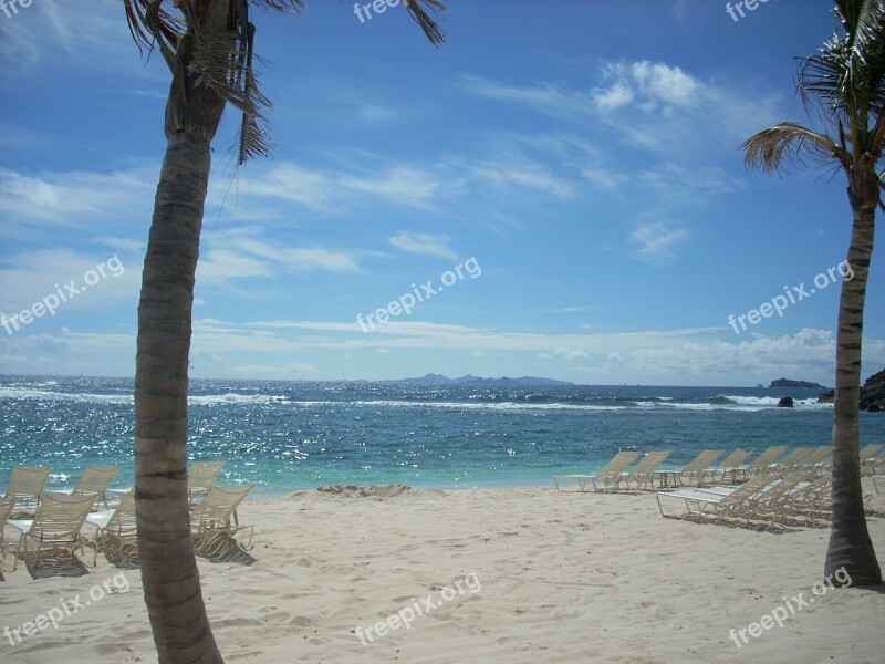 St Maarten Beach Palm Trees Ocean Lounge Chairs