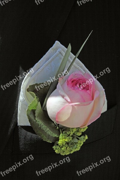 Wedding Groom Handkerchief Rose Free Photos