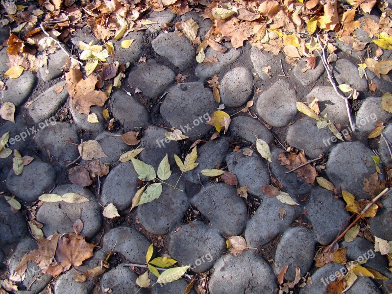 Stones Bridge Cobblestones Leaves Autumn