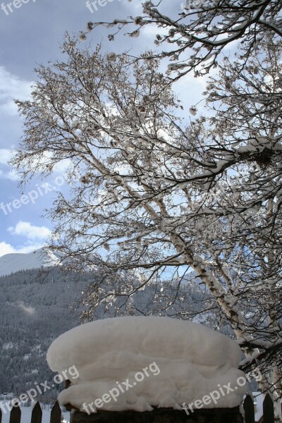 Snow Winter White Trees Switzerland