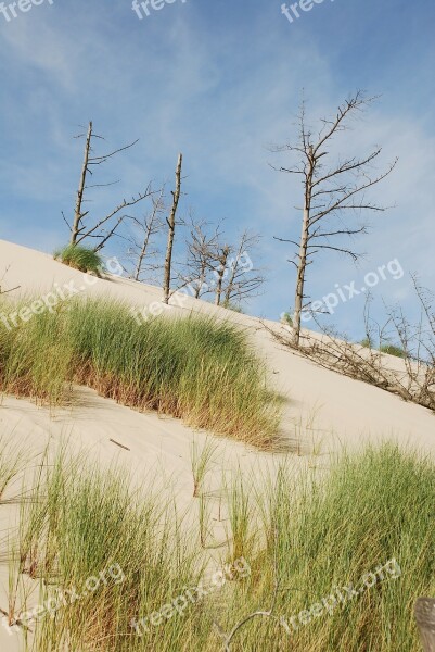 Sea The Sand Dunes Sand Dune The Baltic Sea