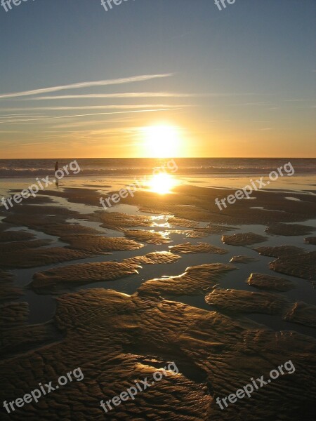 Sunset Backlighting Sea Beach Ebb