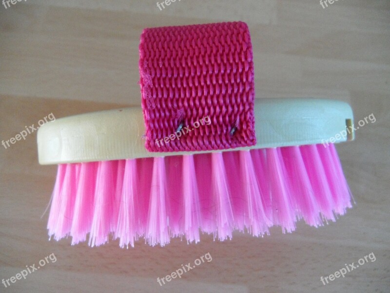 Brush Horse Brush Clean Horse Curry Pink