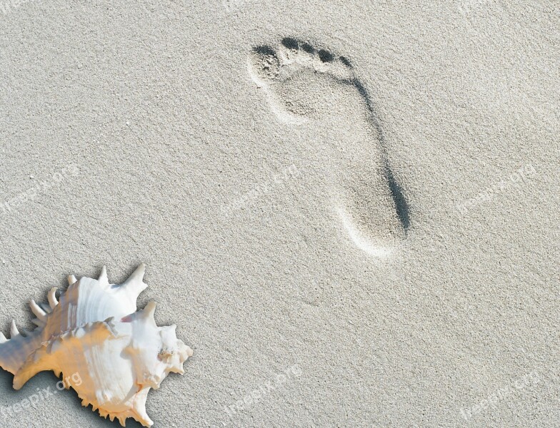 Beach Sand Summer Footprint Shell