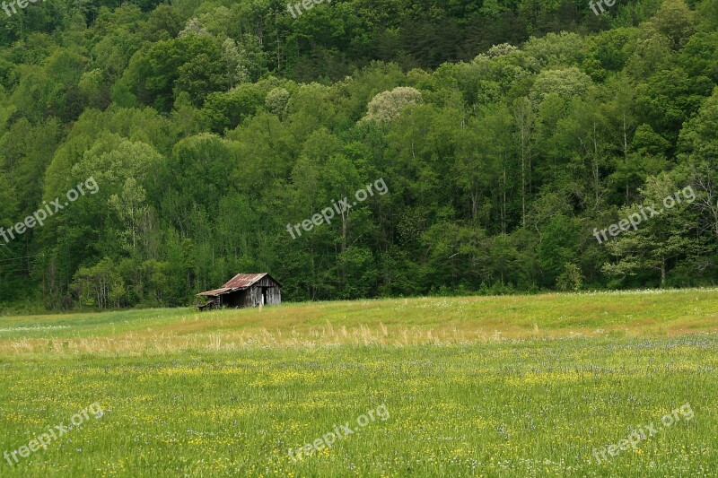 Barn Field Abandoned Building Wood