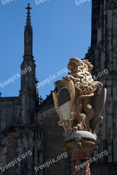 Lion Gilded Ulm City Coat Of Arms