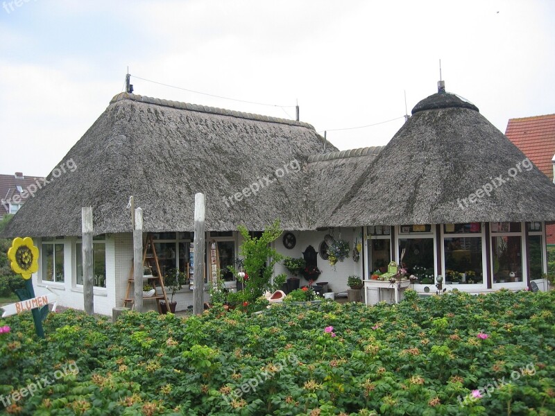 Thatched Roof Thatched House Pretty Decorative