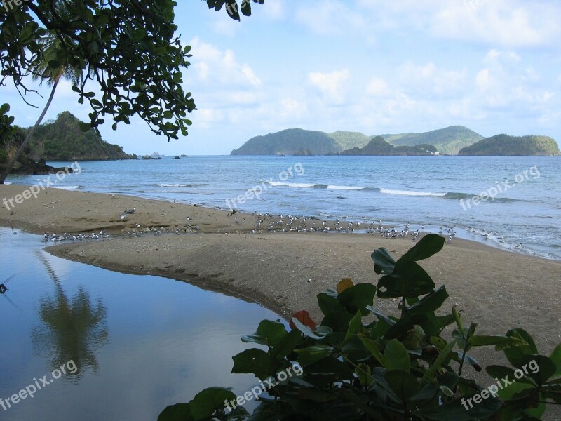 Landscape Caribbean Water Sea Beach