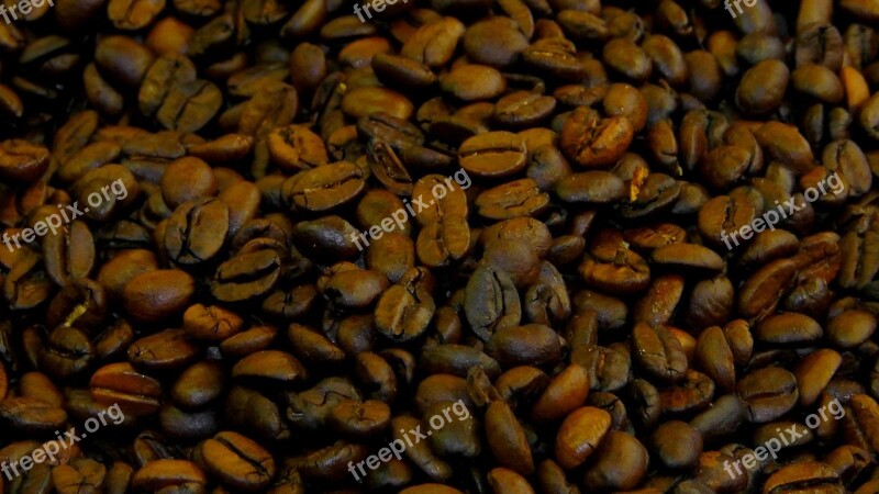 Coffee Beans Coffee Brown Roasted Aroma