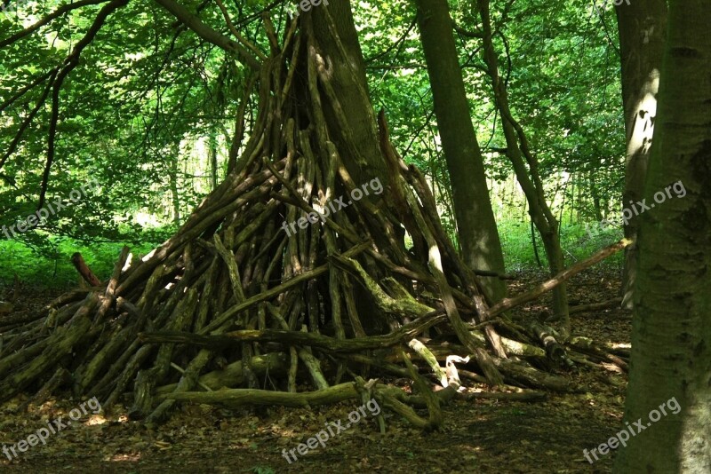 Adventure Forest Trees Play Children