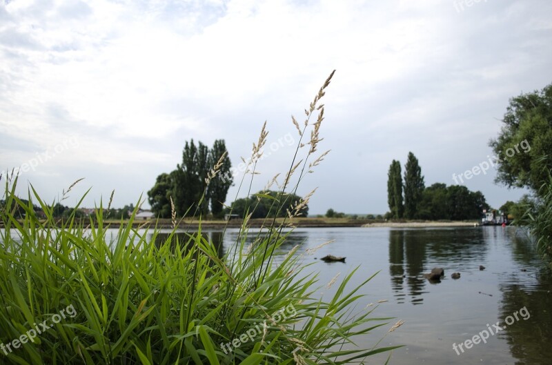 Main Water Sky Trees Landscape