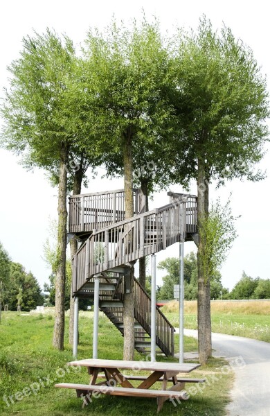 Schwarzach Observation Tower Upward Trees High