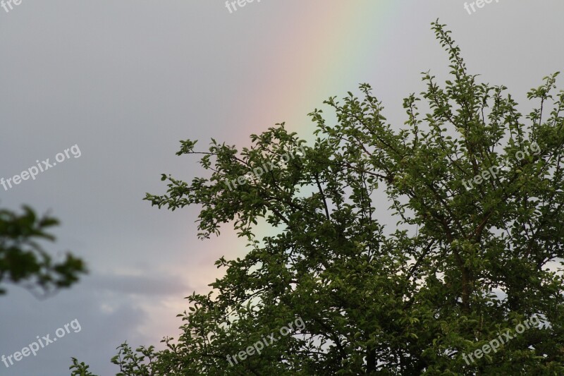 Rainbow Sun Clouds Free Photos