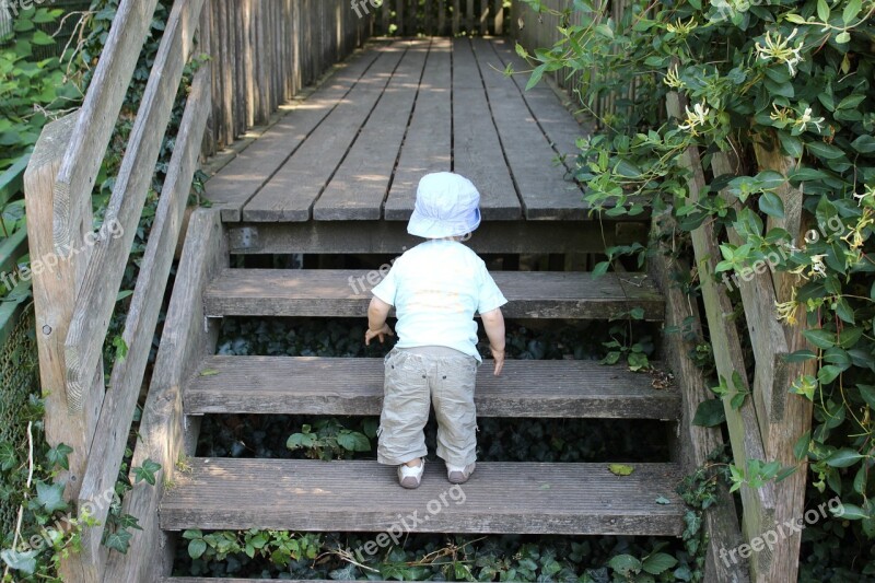 Little Explorers Little Boy Children Stairs Free Photos