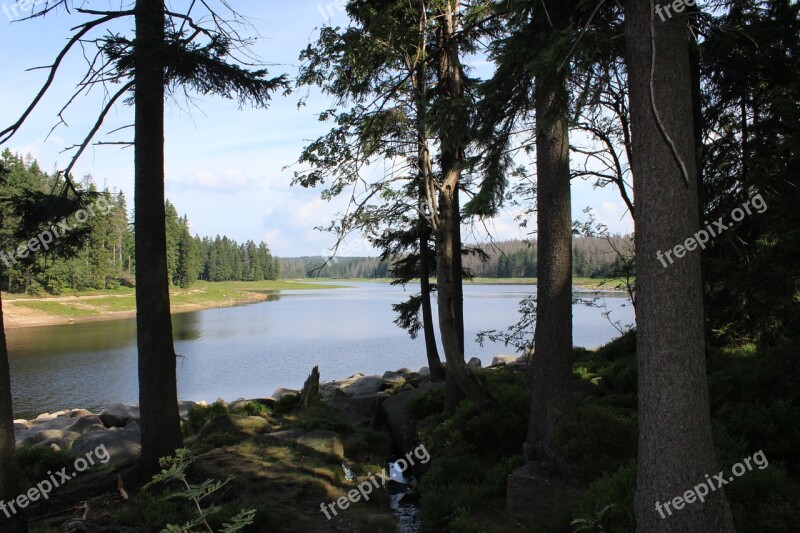 Reservoir Resin Water Trees Landscape