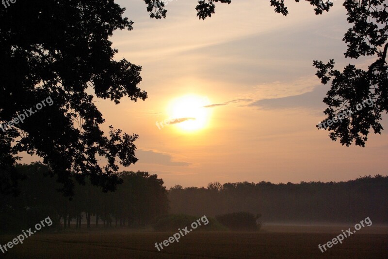 Sun Fog Morning Greeting Nature Field