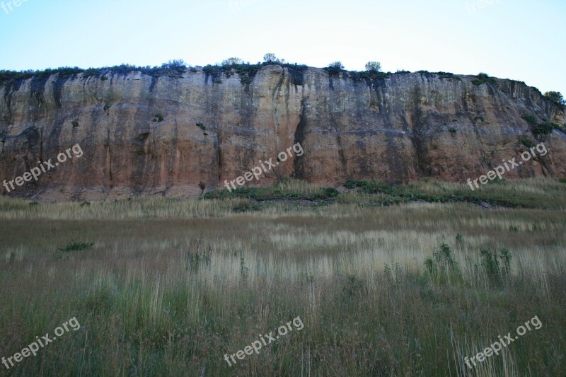 Mountain Veld Nature Africa Grasses