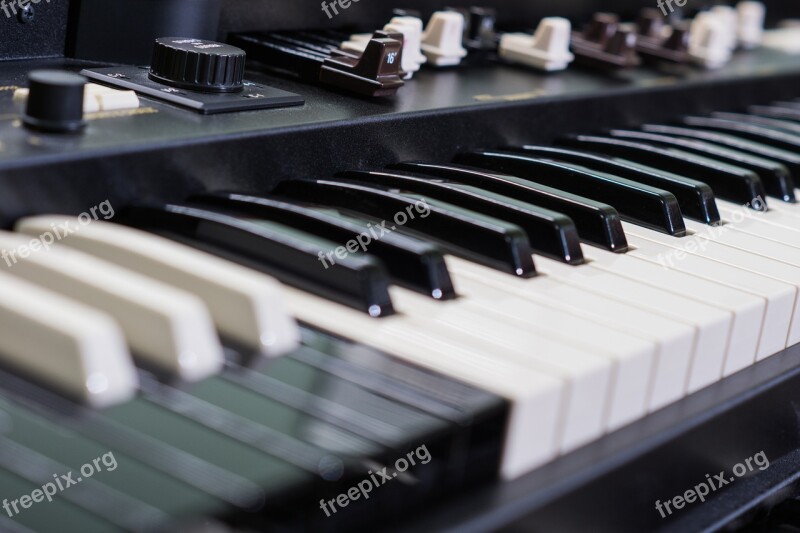 Organ Electronic Organ Musical Instrument Music Keys