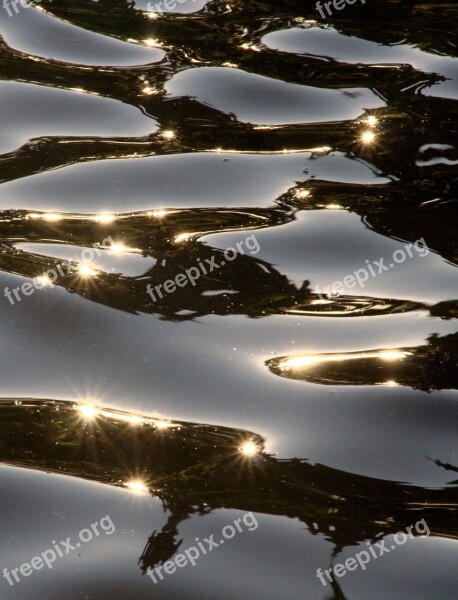 Water Mirroring Lichtspiel Reflections Wave