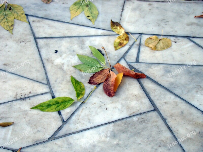 Leaves Autumn Pavement Marble Slabs Pattern