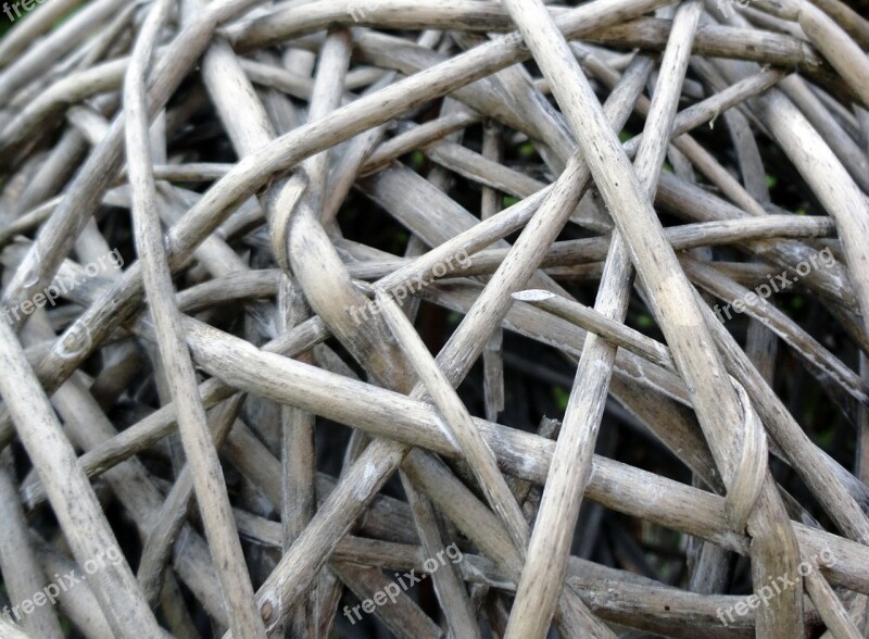 Braid Wood Pasture Branches Aesthetic