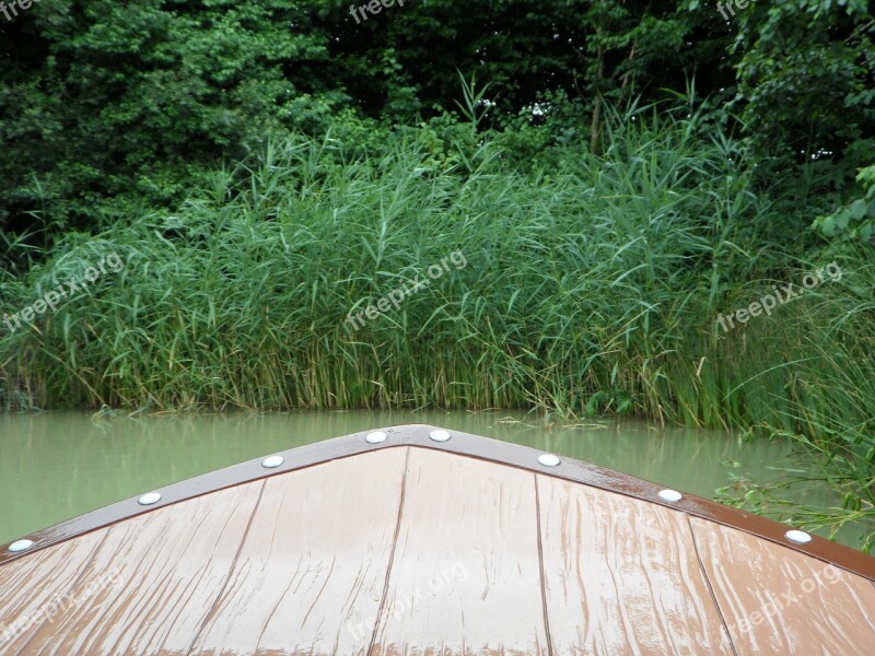 Boat Trip Bug Shipping Boat Water