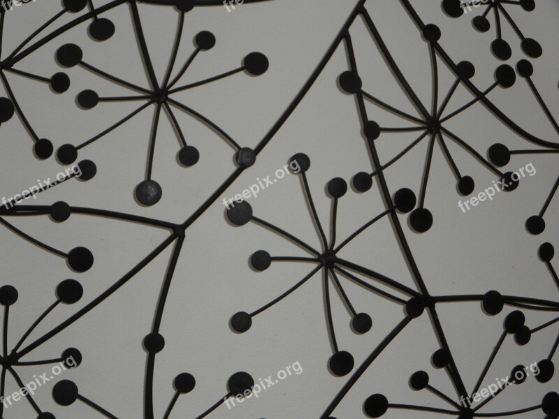 Pattern Flora Black And White Decoration Deco