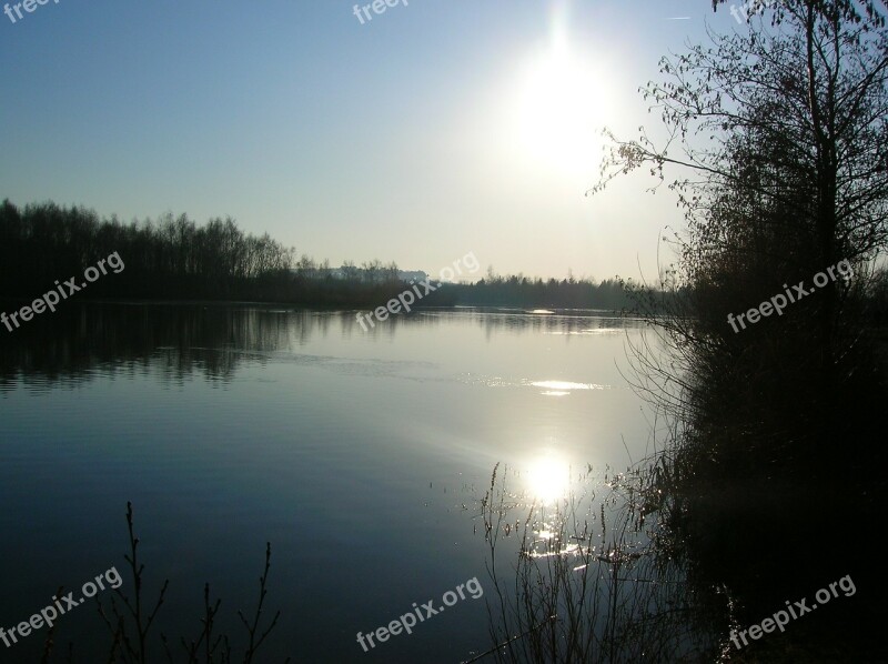 Daneshill Lake Water Sunset Tree