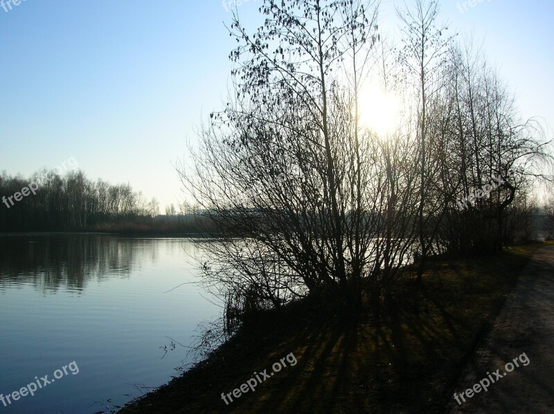 Daneshill Lake Water Sunset Tree