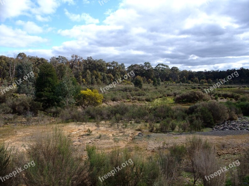 Country Bush Plant Nature Lovely