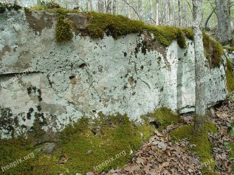 White River Arkansas Bluff Moss Wilderness