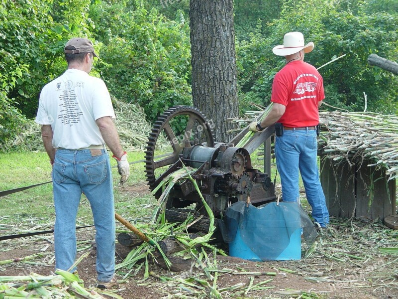 Sorghum Press Canehill Ar Harvest Festival Sorghum Crafts Fair