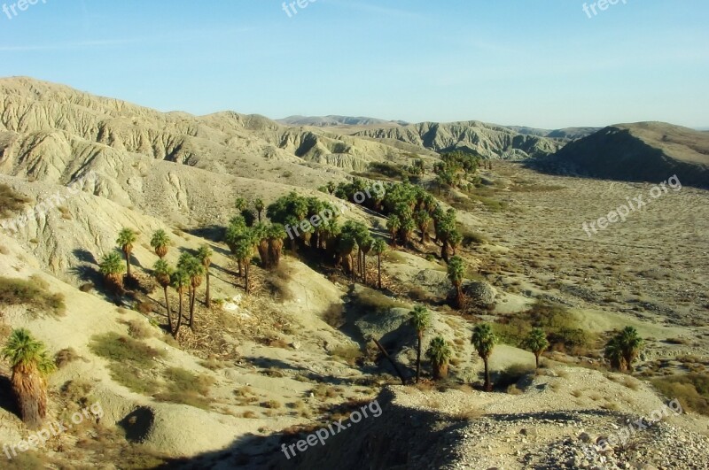 Coachella Valley California Landscape Palms Palm Trees