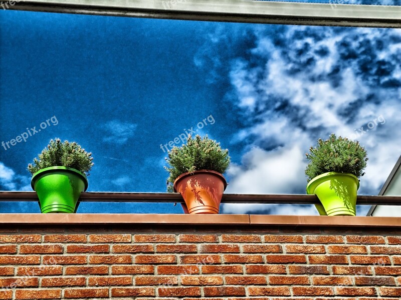 Flowers Plants Flower Pots Building Ledge