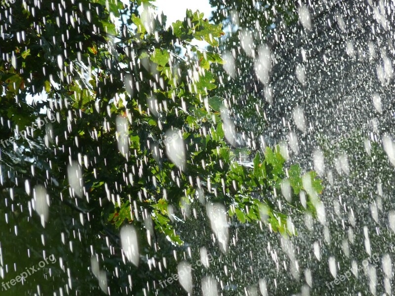 Nature Rain Spring Water Drop