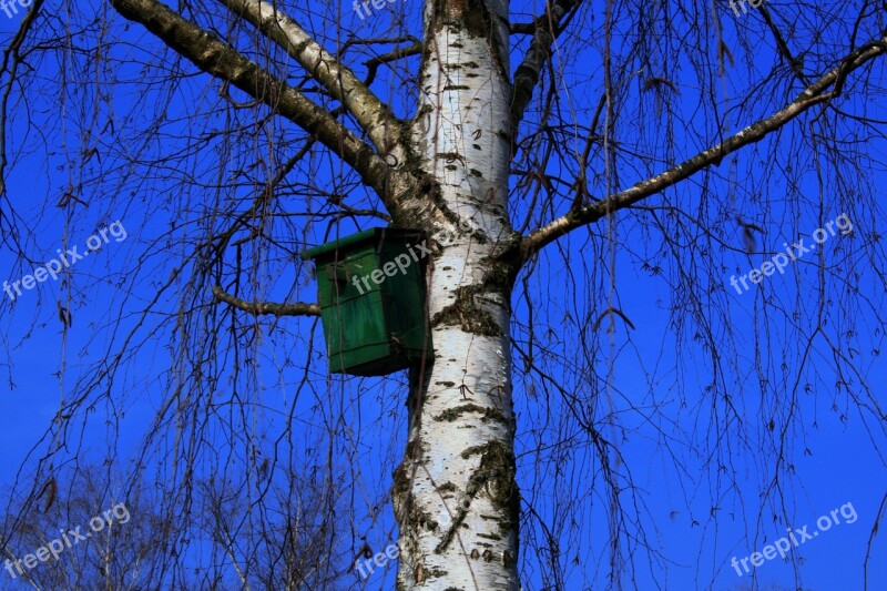 Aviary Tree Birch Bird Feeder Sky