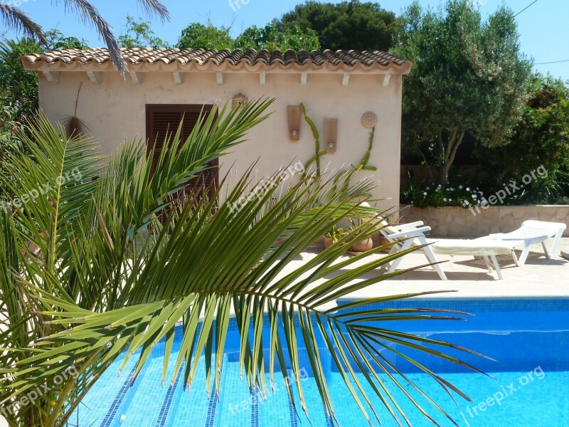 Pool Finca Mallorca Palm Free Photos